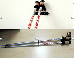 滑雪杖(Ski Poles)